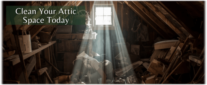 Attic Cleaning Mesa